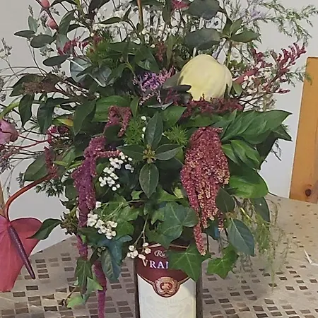 Appartamento Miljakovacki *